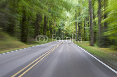 Motion Blur Forest Road